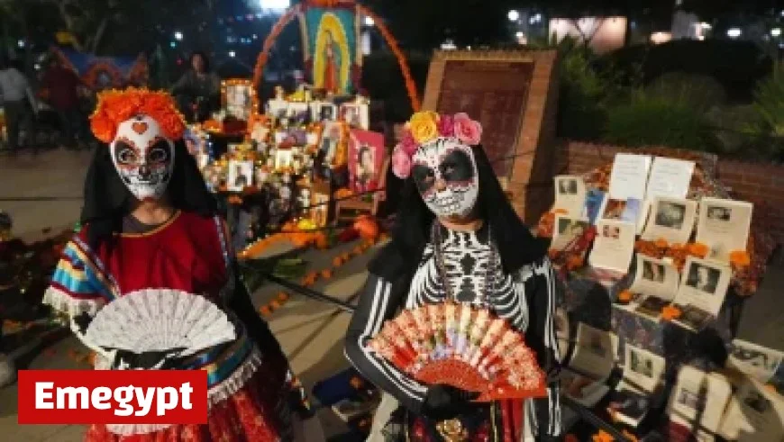 Alouettes Aim for Fourth Consecutive East Final Appearance