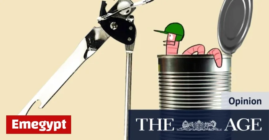 Ashes Series Begins with Australia Struggling to Find an Opener Amid Selection Challenges