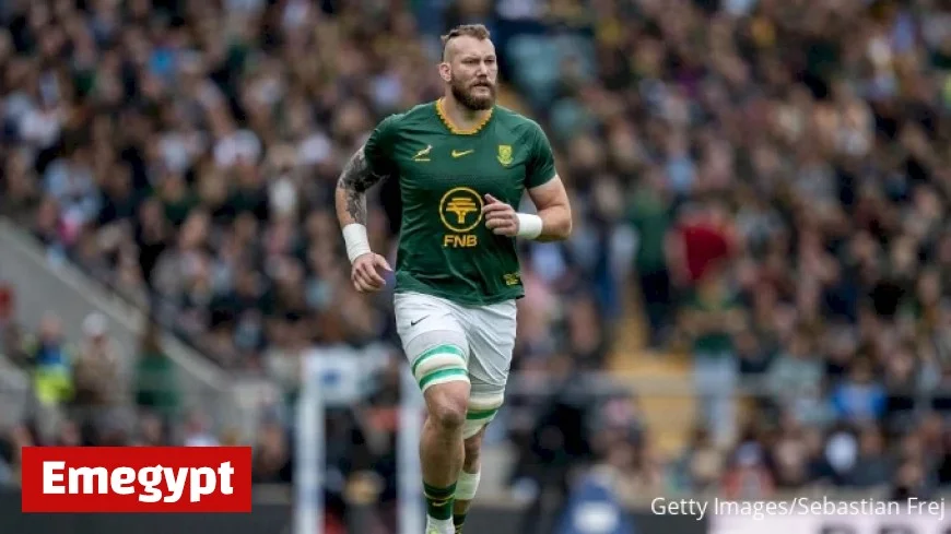 Springboks Clash with Japan: Live Rugby Score and Stream Updates