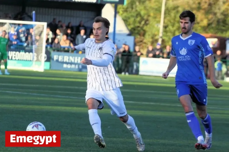 Seagulls Face Off Against Shots in Thrilling Emirates FA Cup Showdown
