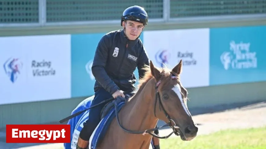 Melbourne Cup 2023: Racing Victoria Vets Reassess Four Horses as Final Lineup Forms