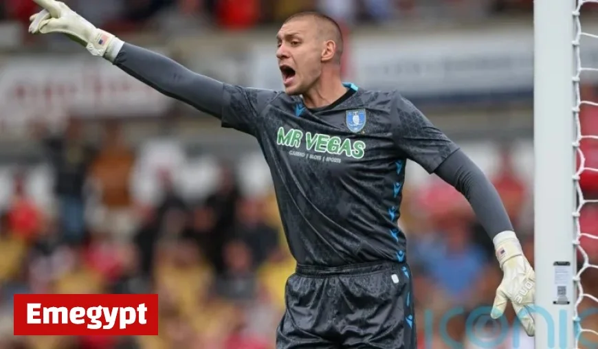 Sheffield Wednesday Halt Losing Streak with Hard-Fought Draw Against West Brom