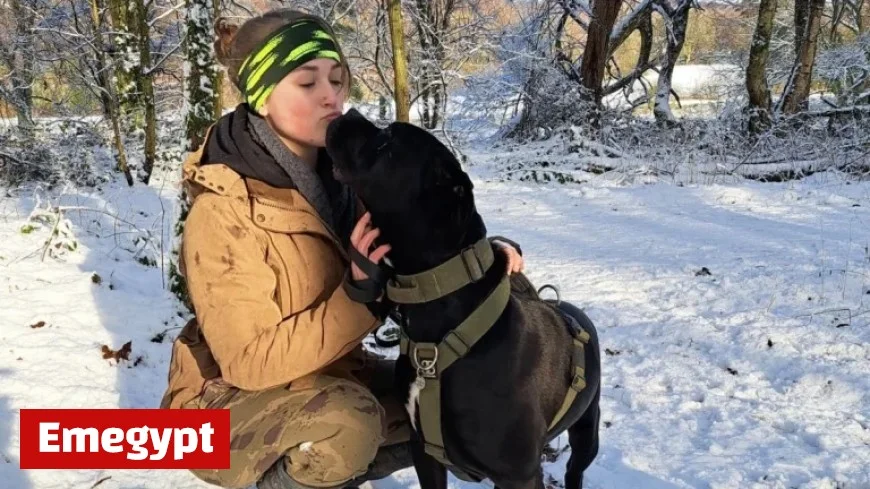 West Midlands Residents Urge Action as Fireworks Cause Distress for Beloved Pets