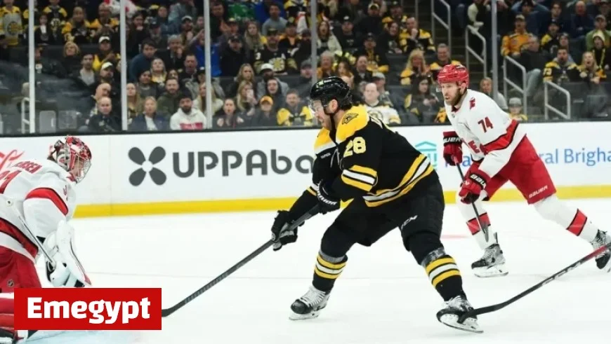 Hurricanes vs Bruins November 1: Key Injuries Inactive Players and Latest Updates