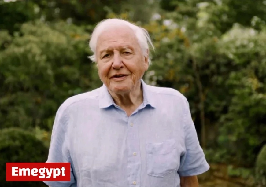 David Attenborough Supports Ambitious Nature Recovery Project as Big as Athens