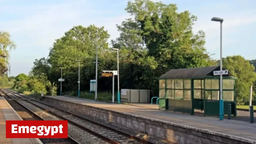 UK train station shut down by police following sexual assault on woman