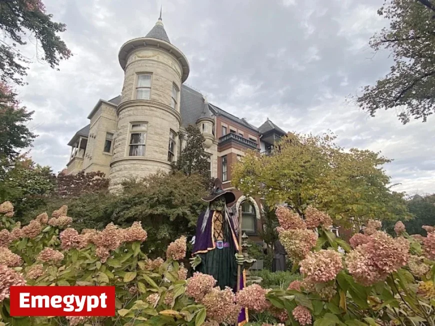 Weekend Highlights: Top Events from October 31 to November 2