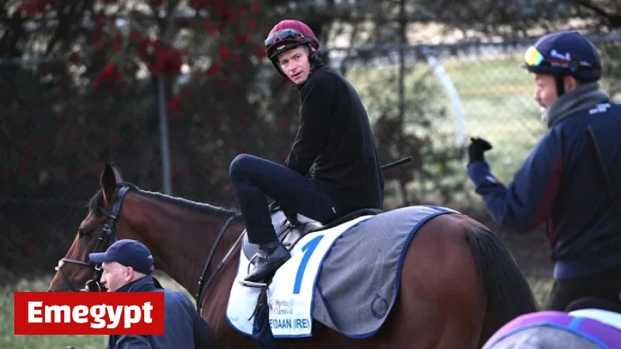 Melbourne Cup Lineup and Barrier Draw Released Buckaroo Half Yours Secure Prime Positions While James McDonald Prepares for Challenging Race