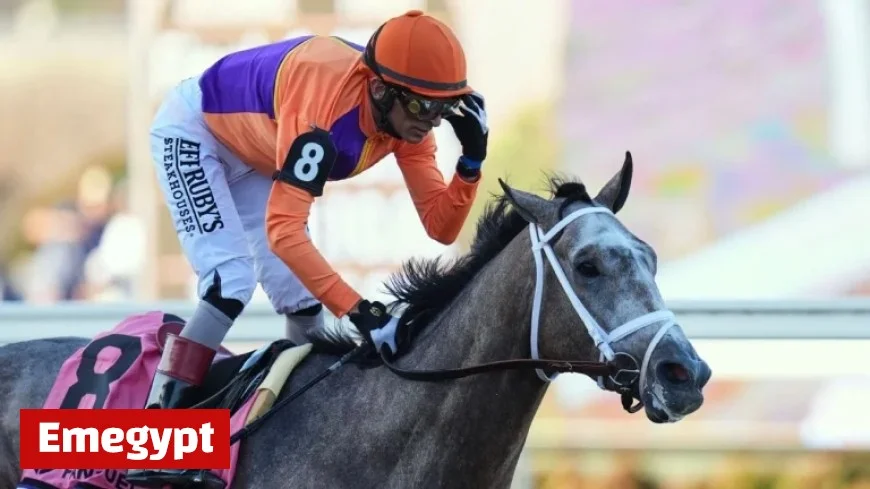 Ted Noffey Triumphs in Breeders’ Cup Juvenile Victory