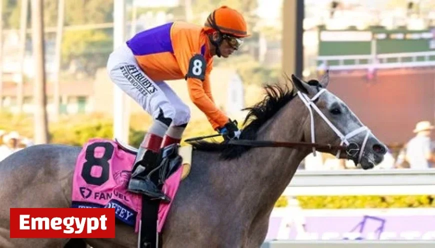 Undefeated Ted Noffey Claims Victory in Breeders’ Cup Juvenile Race