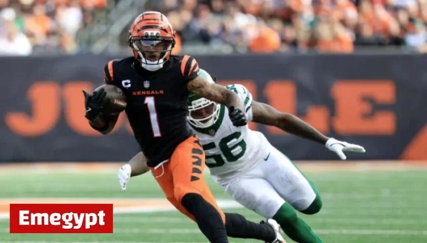 Bears vs Bengals Key Highlights to Keep an Eye On