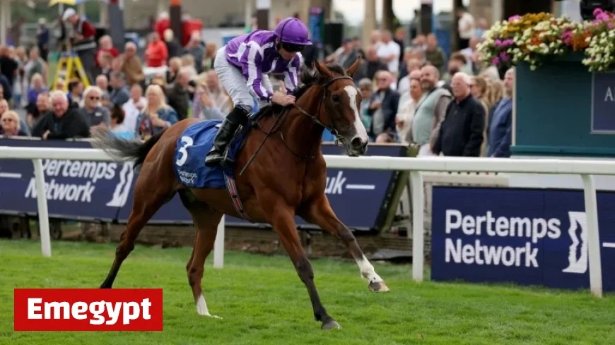 Expert Breeders’ Cup Tips: Top Picks for Del Mar Saturday Action Live on Sky Sports Racing