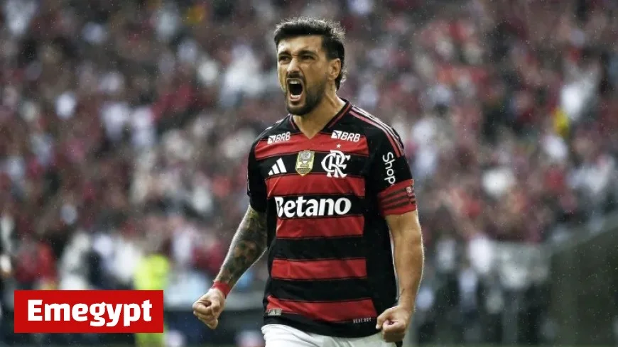 Watch Flamengo vs Sport Live Online: Stream the Brasileirão Match Today