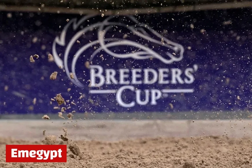 2025 Breeders’ Cup Classic: Winner and Final Standings Revealed