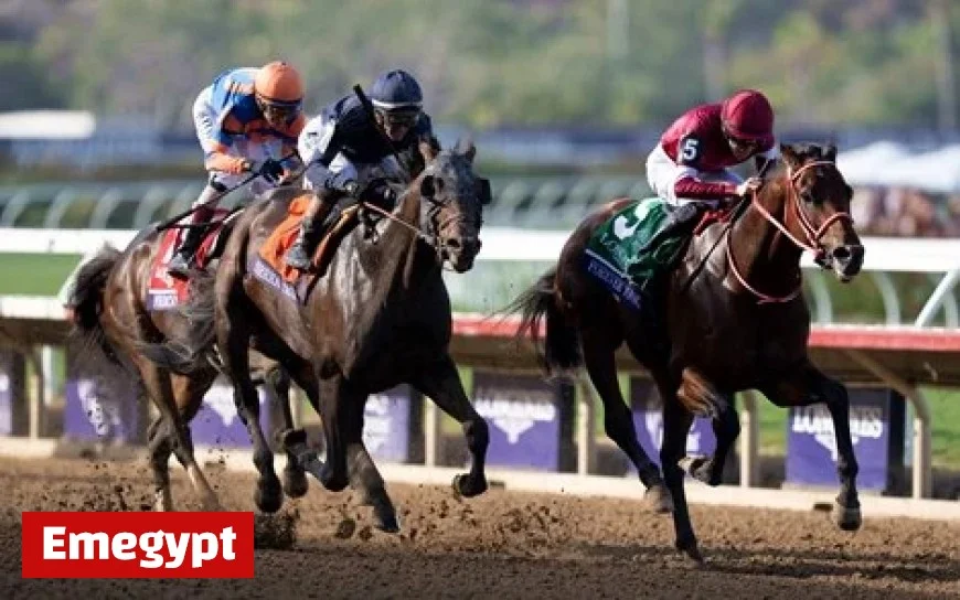 Japan Secures Breeders’ Cup Classic Victory with Forever Young