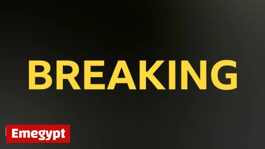 LA Dodgers Clinch Back-to-Back World Series Titles by Defeating Toronto Blue Jays