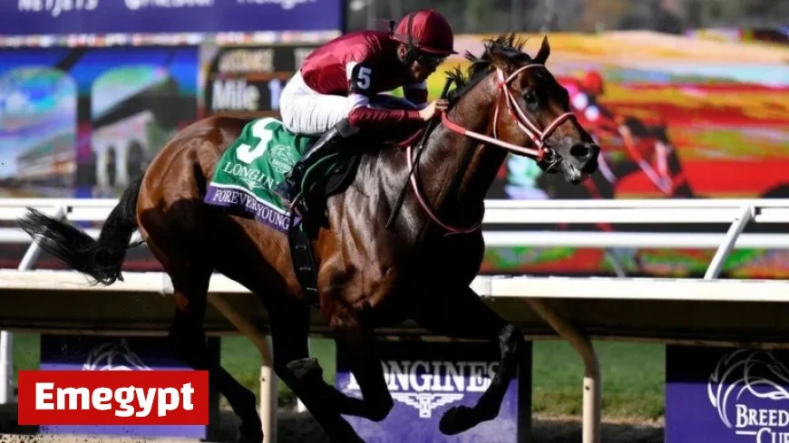 Japan’s Forever Young Triumphs in $7M Breeders’ Cup Classic