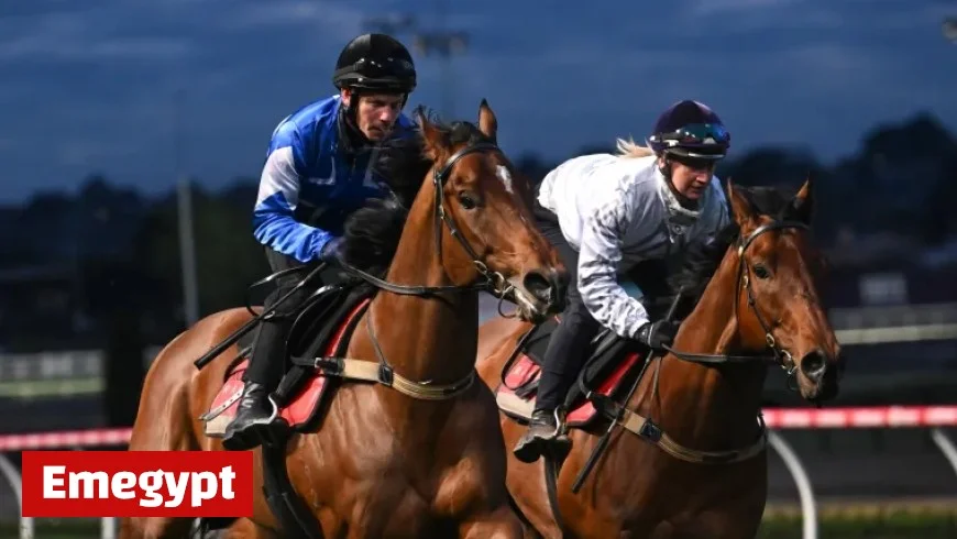 Melhams Gear Up for Historic Melbourne Cup as Racing Takes Priority Over Wedding