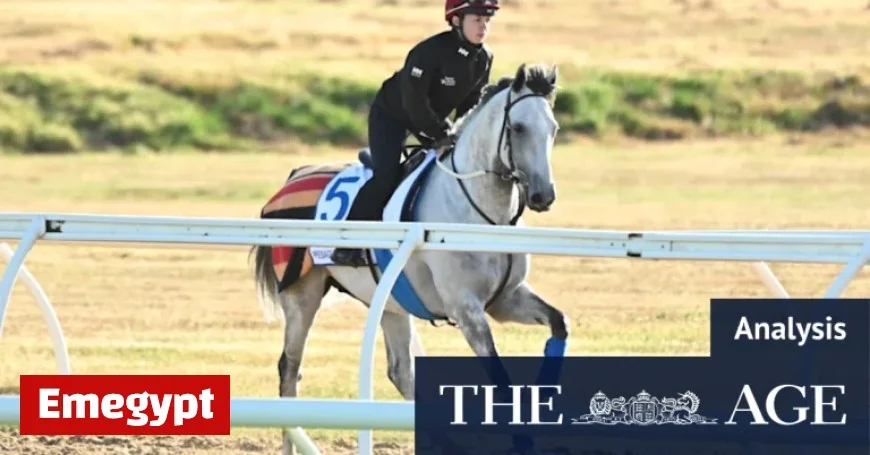 Guide to Winning the Melbourne Cup Trifecta: Fairytales Meet Heavyweights