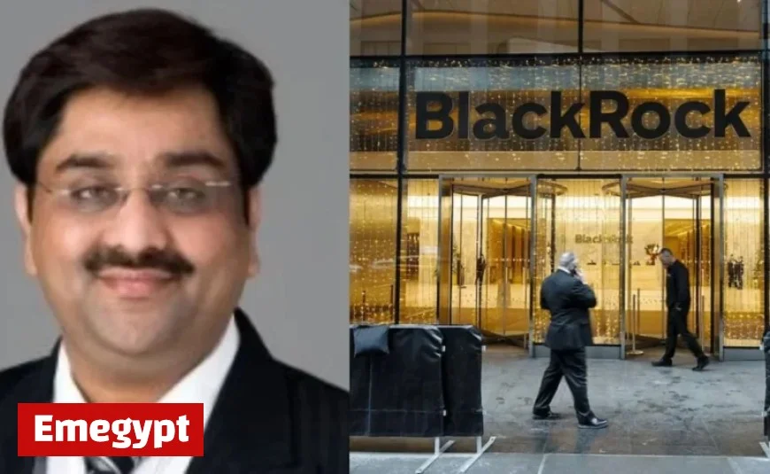 Indian-Origin CEO Accuses BlackRock of $500 Million Fraud