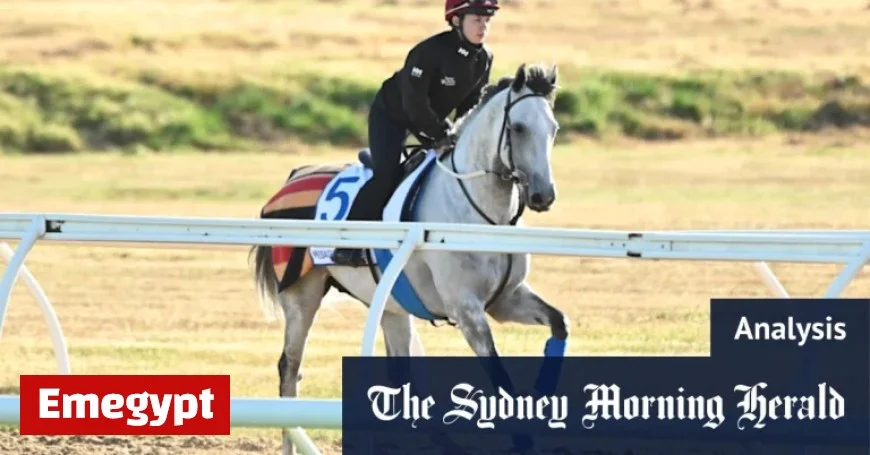 Mastering the Melbourne Cup Trifecta: From Dreams to Dominance