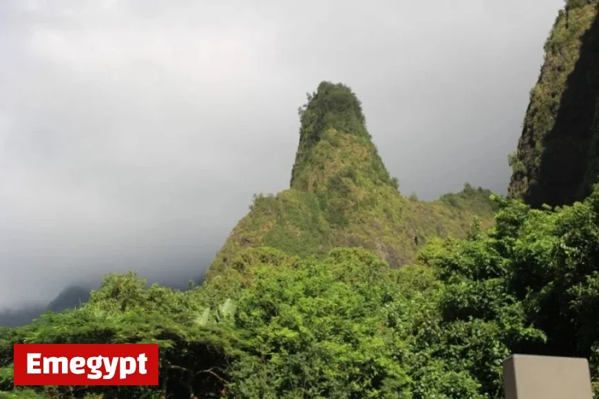 September 2025 Sees Surge in Visitor Spending