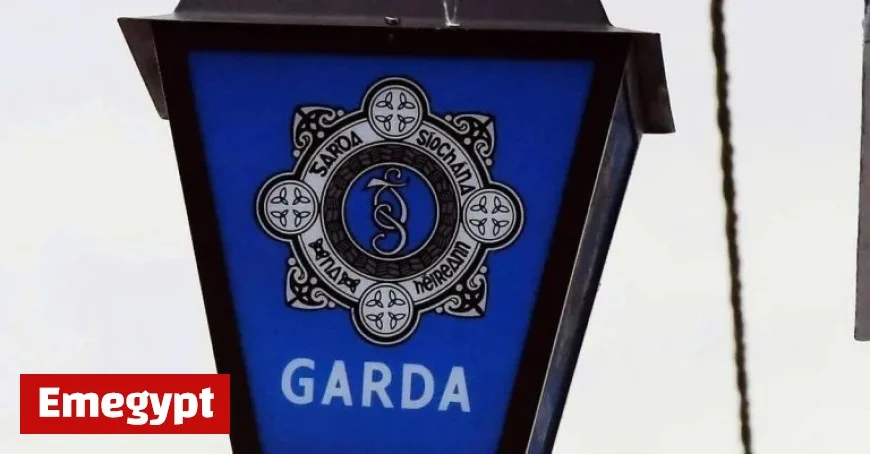 Fatal Assault Claims Life of Young Man in Dublin