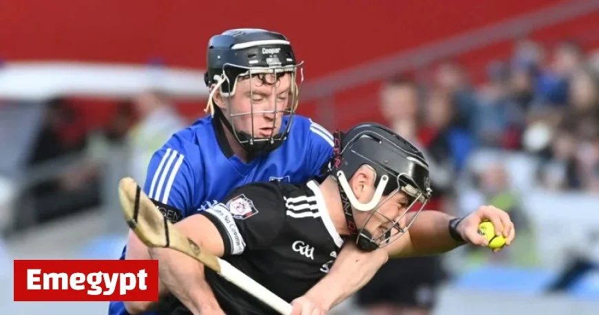 John Horgan on Hurling: Sarsfields Must Dig Deep to Conquer Munster Challenge