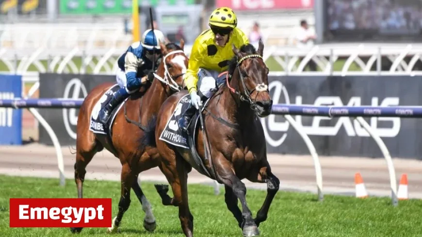 Melbourne Cup 2025: Four Key International Contenders Undergo Crucial Re-evaluations