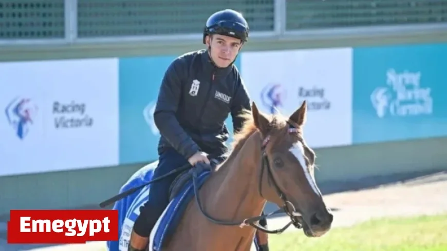 Melbourne Cup 2023: Racing Victoria Vets Evaluate Four Horses for Final Lineup