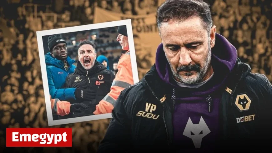 Wolves dismiss Vitor Pereira: Analyzing recruitment errors and team selection blunders that led to the Portuguese coach’s downfall