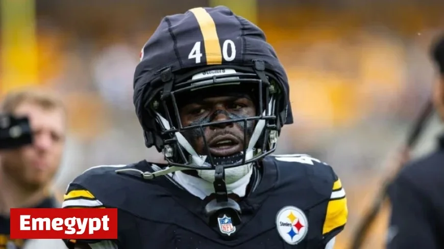 Steelers Secondary Hit Hard: Peppers, Clark Out