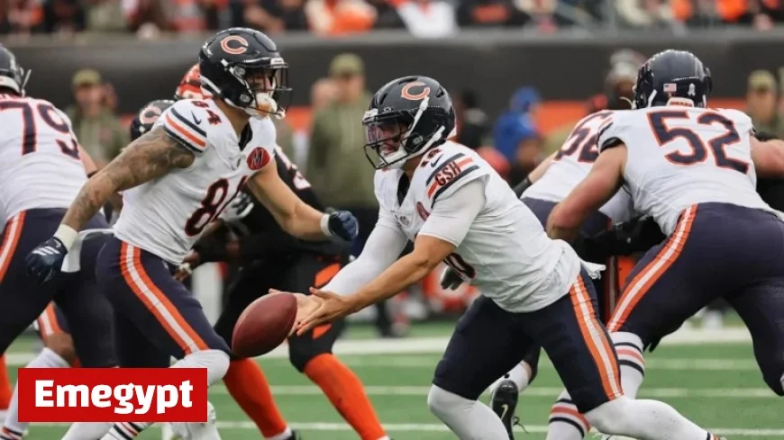Bears’ Rookie Colston Loveland Scores First Touchdown in Thrilling Bengals Clash