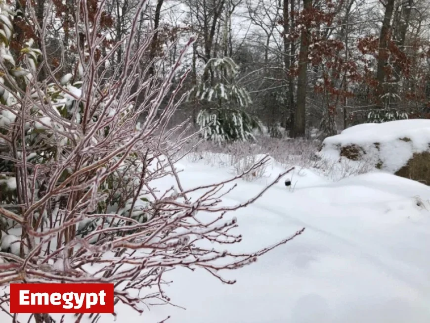 Southern New England’s Winter 2025-2026 Forecast Revealed