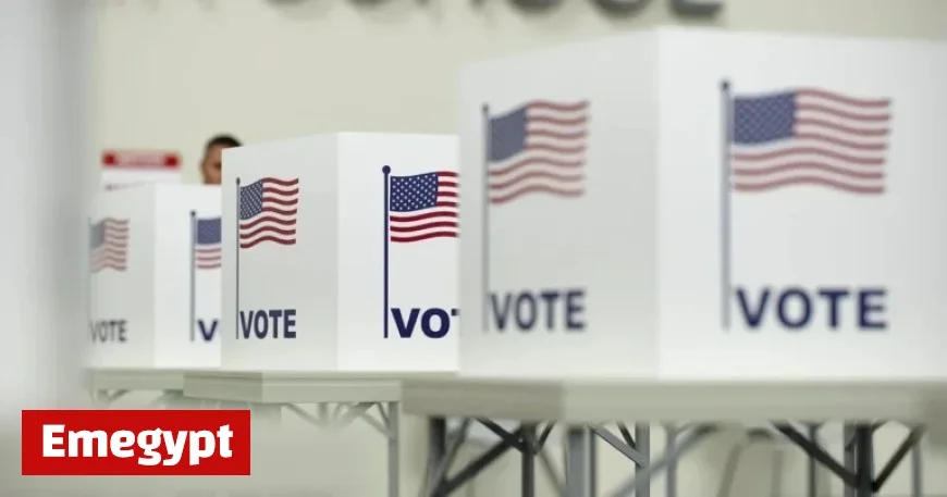 Minnesota 2025 Election: Key Information Before Voting Day