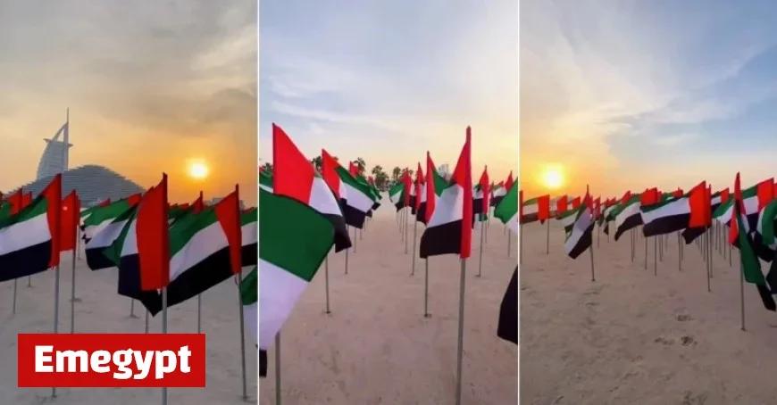 UAE Flag Garden Returns to Dubai’s Kite Beach