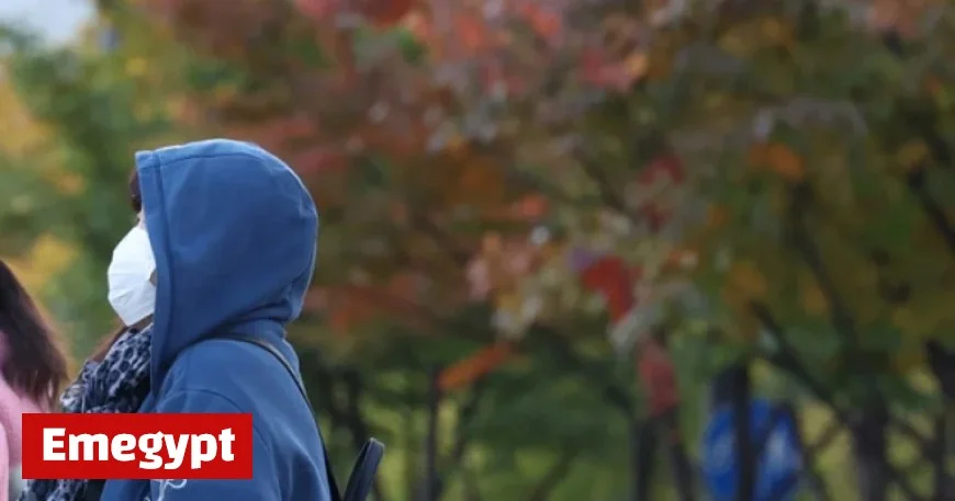 November Cold Wave Drops Seoul to -2.8°C as Chill Continues Through Tomorrow