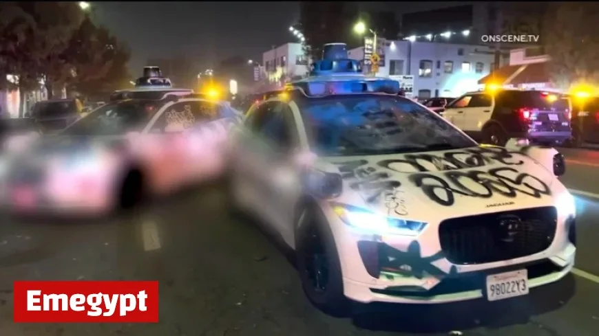 Police Arrest 7 as Dodger Fans Celebrate World Series Win in LA