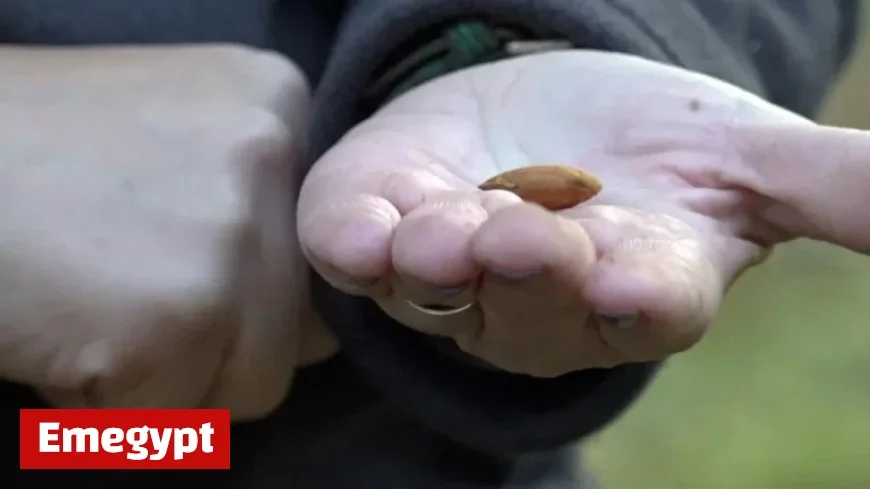 California Farmers Oppose Prop 50 Amid Democrats’ Redistricting Plans