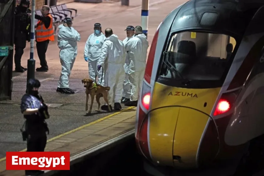 Man Charged in Mass Stabbing Also Accused of Earlier Train Attack