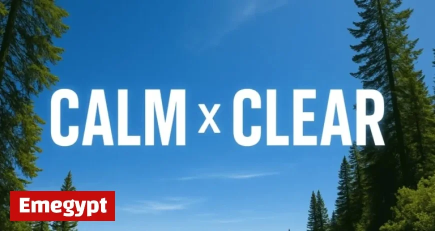 Tampa Weather: Clear Skies, Mild Breezes Until Weekend Warm-Up