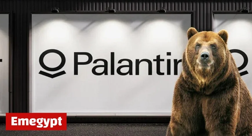 Investor Urges Caution on Palantir Stock Before Earnings Report