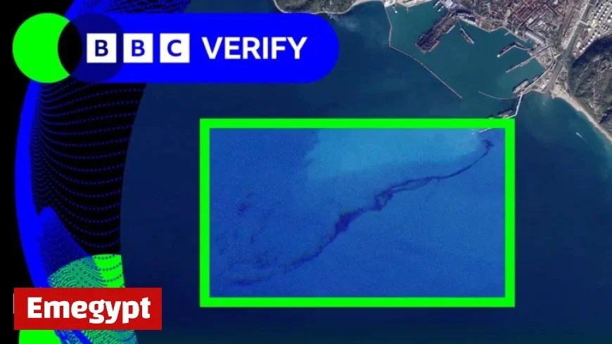 Uncovering the Truth Behind a Viral Image from Trump’s Halloween Party