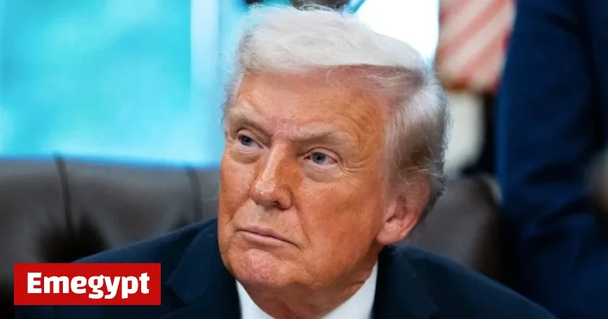 Trump Pledges Dedication to Intensifying ICE Raids, Claims Current Efforts Are Insufficient