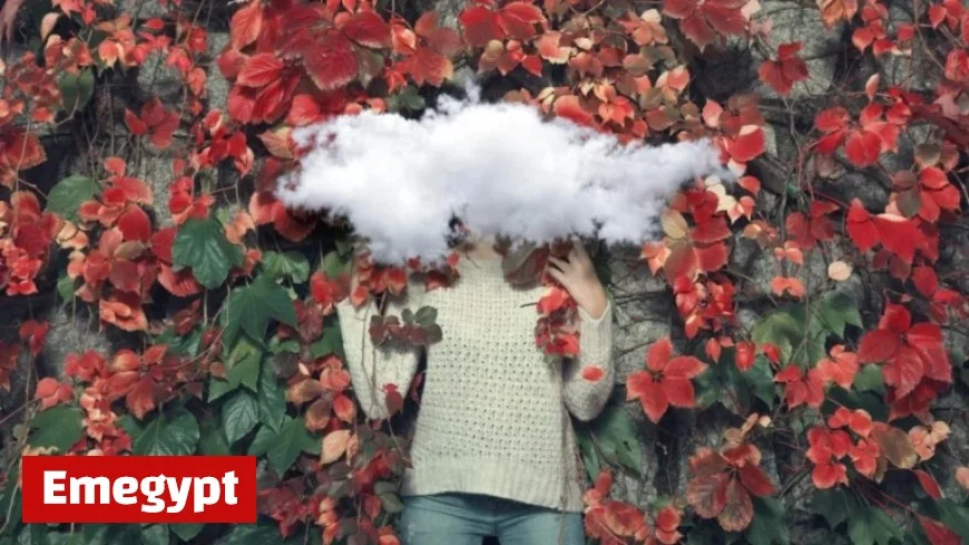 OpenAI Secures Major AI Computing Agreement with Amazon