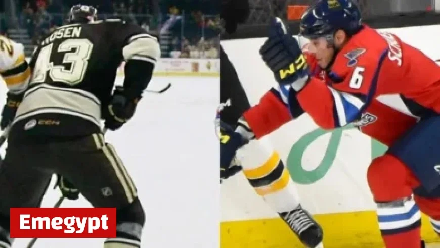 Alex Bregman Exits Red Sox Contract, Reenters Free Agent Market