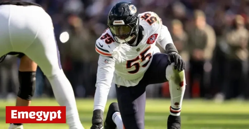 Bears’ Dayo Odeyingbo Suffers Season-Ending Achilles Tear
