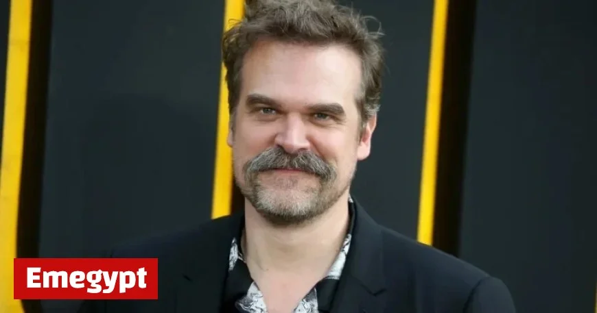 David Harbour Reveals He Fell in Love with Co-Star on Stranger Things Set