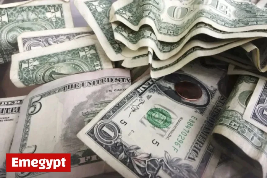 Majority of Georgians Favor Reducing Income Tax Rates