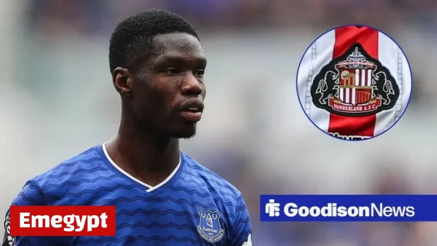 talkSPORT Pundit Apologizes for Unacceptable Comment Sparked by Thierno Barry During Everton vs Sunderland Match